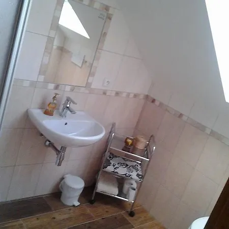 Guest house Retro Ubytovani Brdy *