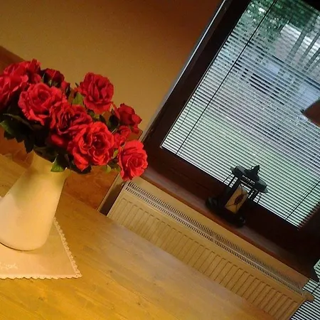 Retro Ubytovani Brdy Guest house