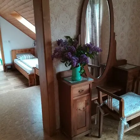 Retro Ubytovani Brdy Gasthof *